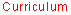 active menu element: curriculum_fr